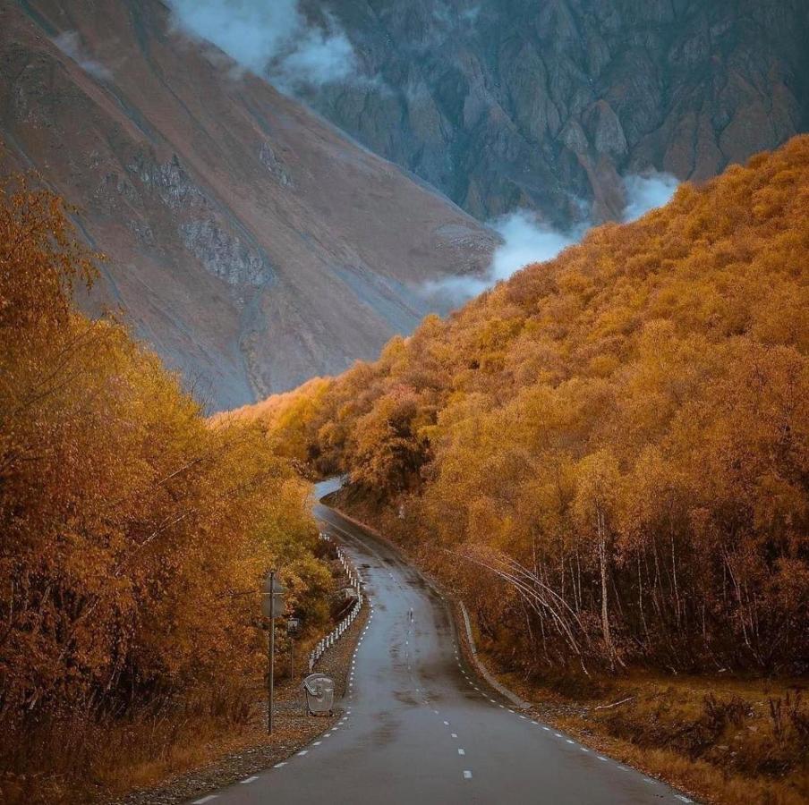 Hotel Axien Kazbegi Kültér fotó
